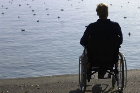 A person in a wheelchair observes a serene scene by the water, with birds gliding on the surface