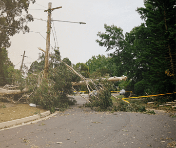 The image captures the aftermath of a recent storm, showing a light gray asphalt street littered with fallen leaves and twigs.