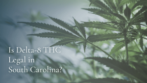 A close-up image of cannabis leaves with a question asking, "Is Delta-8 THC legal in South Carolina?"