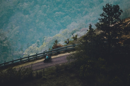 Man riding a motorcycle in the forest.