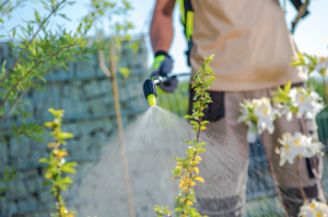 A man watering the flowers.